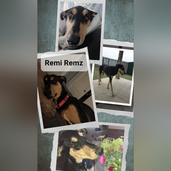 Meet your Posher, Christi - Picture 5 of 9